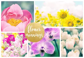 Significado de las Flores